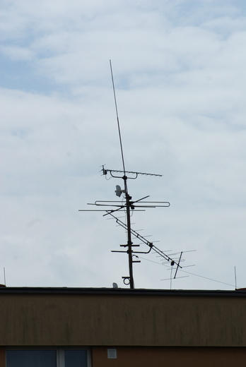 DSC01109.JPG