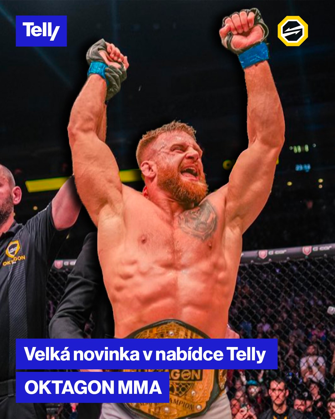 Oktagon a TELLY